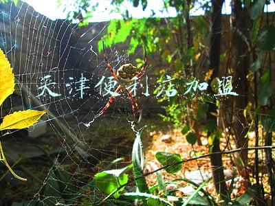 天津便利店加盟