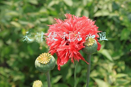 天津便利店加盟