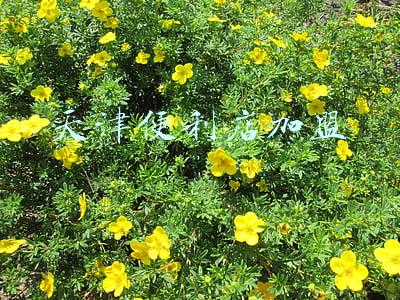 天津便利店加盟