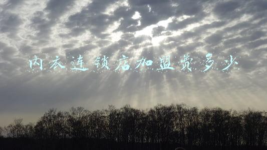 品牌内衣店加盟需要多少钱-开一家内衣店大概要多少钱，内衣加盟