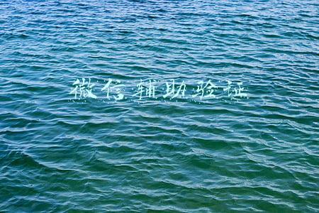 微信辅助验证
