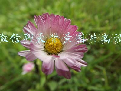 微信聊天背景图片高清
