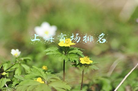 上海商场排名