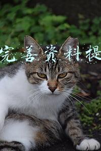 花呗完善资料提额8000