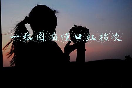一张图看懂口红档次王者(小仙女们，你们想过如何和直男解释口红的档次么？)