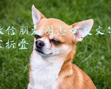 微信朋友圈怎么发文字不折叠