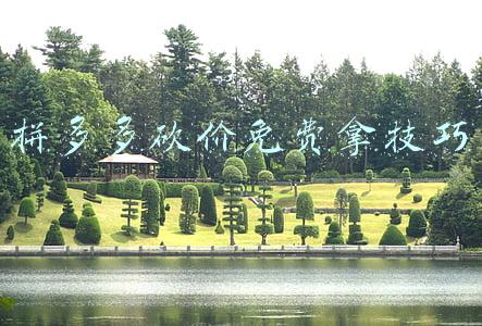 拼多多砍价免费拿技巧