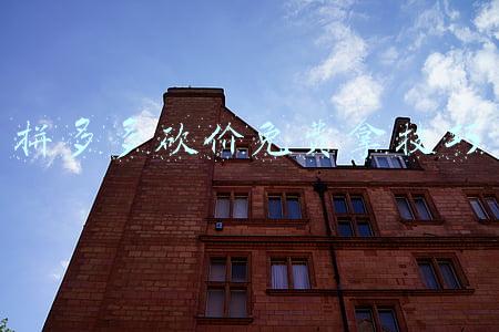 拼多多砍价免费拿技巧