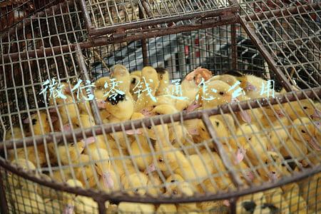 微信零钱通怎么用赚钱(腾讯零钱通上线公测，微信零钱可直接支付也可赚收益)