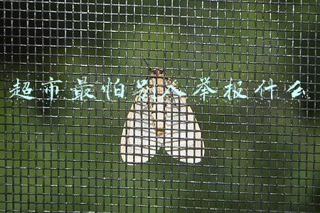 超市最怕别人举报什么