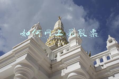 如何网上买股票