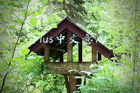 plus中文意思