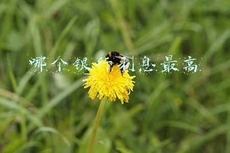 哪个银行利息最高