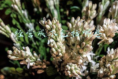 经营成本包括哪些