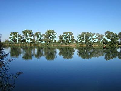 抖音是谁的创始人