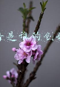 抖音是谁的创始人