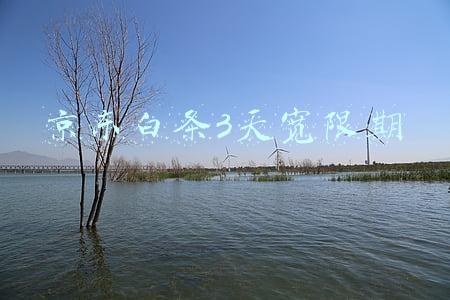 京东白条3天宽限期