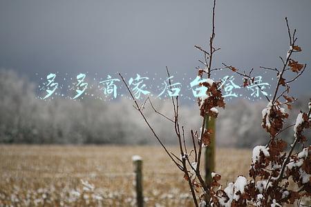 多多商家后台登录