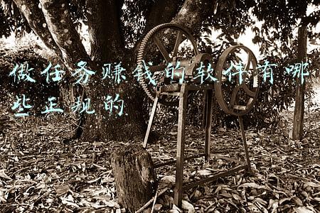 做任务赚钱的软件有哪些正规的