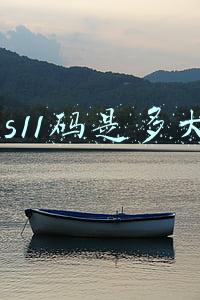 us11码是多大