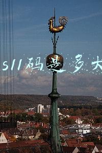 us11码是多大