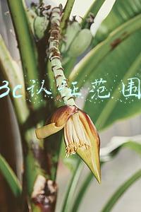 3c认证范围
