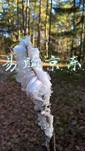 苏宁易购京东商城