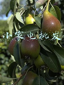 北京小家电批发市场