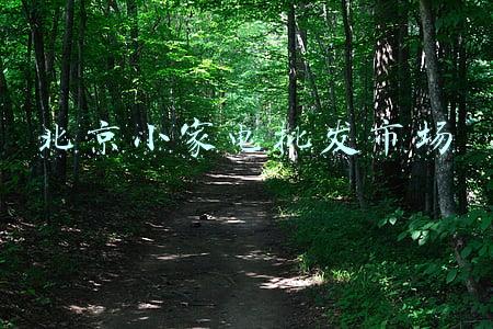 北京小家电批发市场