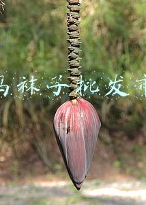 义乌袜子批发市场