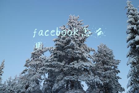 facebook怎么用
