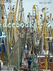 facebook怎么上
