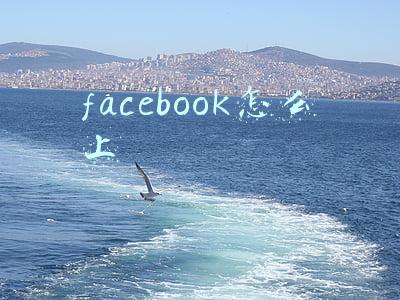facebook怎么上