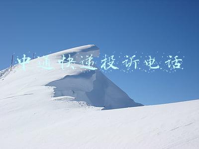 中通快递投诉电话95338(你的快递还没送到？绍兴市邮政管理局最新回应)
