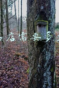 奶茶店需要多少钱
