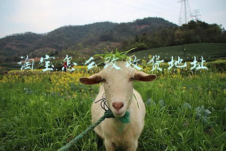 淘宝怎么改收货地址