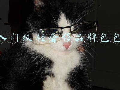 入门级轻奢侈品牌包包