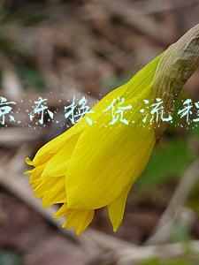 京东换货流程