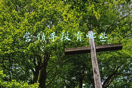 营销手段有哪些
