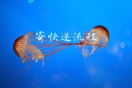 寄快递流程
