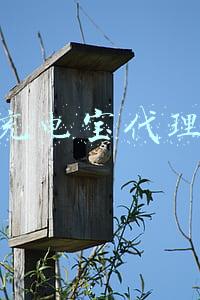 充电宝代理