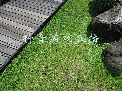 抖音游戏直播