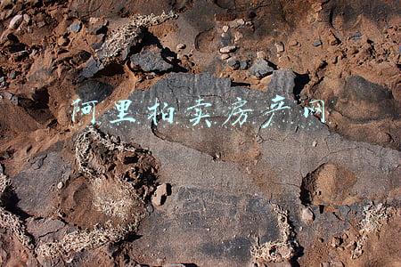 阿里拍卖房产网
