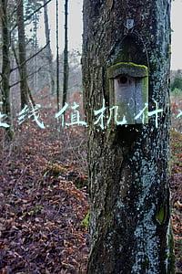 飞机在线值机什么意思