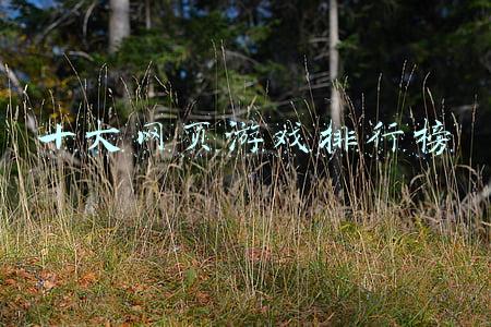 十大网页游戏排行榜
