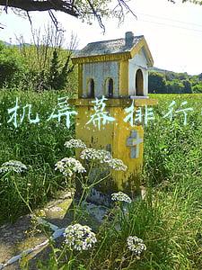 手机屏幕排行榜