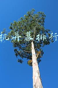 手机屏幕排行榜