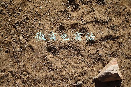 微商电商法