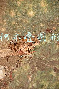积木叠图形