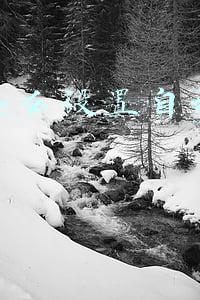 微信怎么设置自动抢红包vivo(微信抢红包技巧！过年必用)